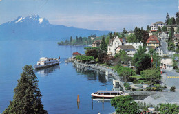 SUISSE WEGGIS PROMENADE MIT PILATUS - Weggis