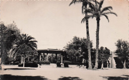 MAROC MARRAKECH JARDINS DU HARTSI - Marrakech
