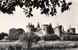 56 SARZEAU CHATEAU DE SUSCINIO - Sarzeau
