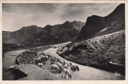 65 BAGNERES DE BIGORRE COL DU TOURMALET - Bagneres De Bigorre