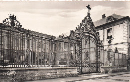 10 TROYES LES GRILLES DE L HOTEL DIEU - Troyes