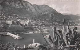 MONACO MONTE CARLO L ENTREE DU PORT - Altri & Non Classificati