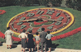 SUISSE GENEVE L HORLOGE FLEURIE - Sonstige & Ohne Zuordnung