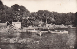 83 HYERES PLAGE DU PORT NIEL - Hyeres