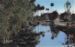 45 CHATILLON COLIGNY LES BORDS DU LOING - Chatillon Sur Loire