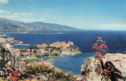 MONACO MONACO VUE GENERALE SUR LA PRINCIPAUTE LE CAP D AIL F - Altri & Non Classificati