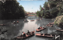 94 CHAMPIGNY SUR MARNE LES PECHEURS ET LA MARNE - Champigny Sur Marne