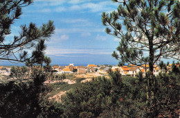80 QUEND PLAGE LES PINS PLAGE - Quend