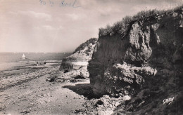 14 SAINT AUBIN SUR MER LES FALAISES - Saint Aubin