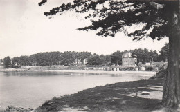 56 VANNES GOLFE DU MORBIHAN - Vannes