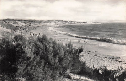 17 DOMINO LA PLAGE - Ile D'Oléron