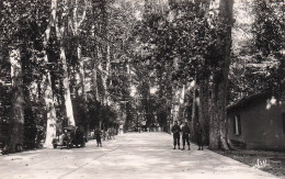 13 AUBAGNE CAMP DE LA DEMANDE - Aubagne