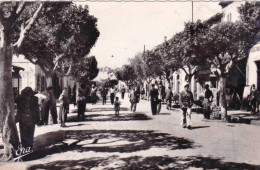 Algerie - NEMOURS ( Ghazaouet )  - La Rue Du Marché - Altri & Non Classificati