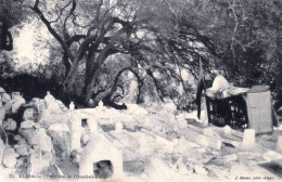 Algerie - BLIDA - Cimetiere De L'Oued El Kébir - Blida