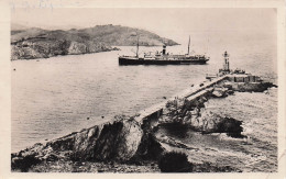 66 PORT VENDRES PORT - Port Vendres