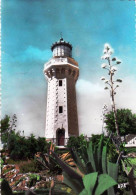 34 - Herault - SETE - Le Phare - Sete (Cette)