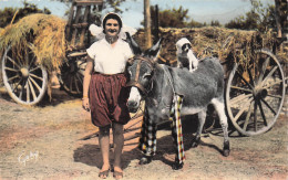 17 ILE DE RE ANE A CULOTTE - Ile De Ré
