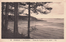 22 ETABLES SUR MER LES GODELINS POINTE DU VAU BUREL ET LES S - Etables-sur-Mer