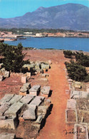 ALGERIE TIPAZA RUINES ROMAINES - Altri & Non Classificati