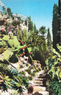 MONACO MONACO JARDIN EXOTIQUE - Altri & Non Classificati