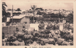 MAROC TANGER MARCHE AUX BESTIAUX - Tanger