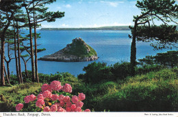 ROYAUME UNI TORQUAY THATCHERS ROCK DEVON - Torquay