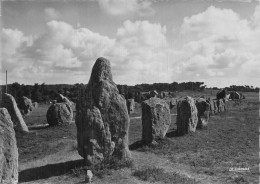 56 CARNAC ALIGNEMENTS MEGALITHIQUES DE KERMARIO - Carnac