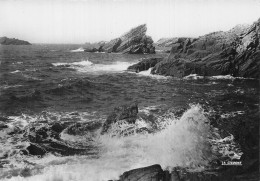 56 QUIBERON LA COTE SAUVAGE A LA POINTE DE KERVIHAN - Quiberon