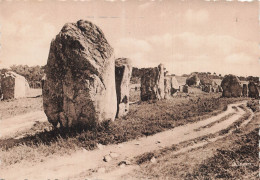 56 CARNAC ALIGNEMENTS DE KERMARIO - Carnac