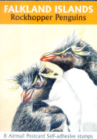 Fauna. Pinguini 2003. Libretto. Usato. - Falkland Islands