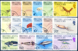 Definitiva. Fauna Marina 1984. Usati. - Sonstige & Ohne Zuordnung