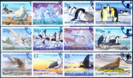 Definitiva. Fauna. Uccelli 1998. Usati. - Sonstige & Ohne Zuordnung