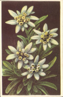 CPA Fantaisie Fleurs - Sonstige & Ohne Zuordnung