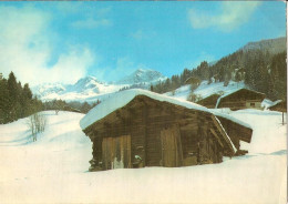 CPSM - PAYSAGE HIVERNAL A SITUER - Other & Unclassified