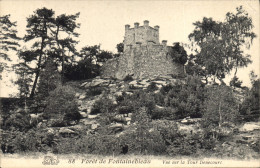 CPA Chateau Foret De Fontainebleau Vue Sur La Tour Denecourt - Castles