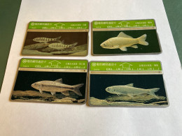 - 63 - Taiwan Fish 4 Different Phonecards - Taiwan (Formosa)