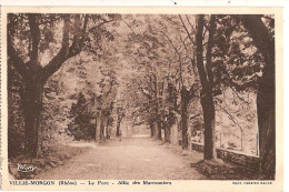 Carte Postale Ancienne - Villié-Morgon - Le Parc - Allée Des Marronniers - Villie Morgon