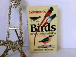 Birds Of Southern Africa - Animals