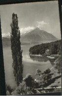Interlaken BE Interlaken  X 1950 - Altri & Non Classificati