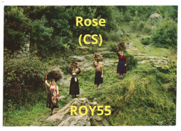 Calabria Cosenza Rose Folklore Di Calabria Antiche Usanze Donne Che Portano La Legna (v.retro) - Kostums