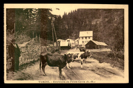 06 - TURINI - ENVIRONS DE PEIRA-CAVA - VACHES - Lucéram