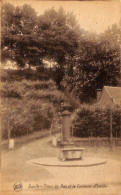 Jupille - Thier Du Bac Et La Fontaine Alpaide  (Edit. A. Frederick Photo Robyns) - Lüttich