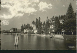 Weggis Vierwaldstaettersee Weggis  X 1951 - Other & Unclassified