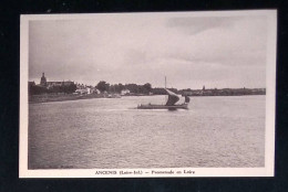 Cp, 44, Ancenis, Promenade En Loire, Bateau, Voilier, Vierge - Ancenis