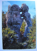 FRANCE - ARDECHE - Le Bois De Paiolive - L'Ours Et Le Lion - Sonstige & Ohne Zuordnung