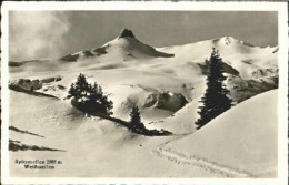 Spitzmeilen Weissmeilen X 1941 - Sonstige & Ohne Zuordnung