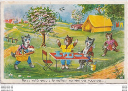 I16- CHAT - CAT - TIENS , VOILA ENCORE LE MEILLEUR MOMENT DES VACANCES.. LE PIQUE NIQUE - ( 2 SCANS ) - Cats