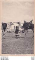 I18- DJIBOUTI - DEPART POUR LA BROUSSE - CHAMEAUX - ( 2 SCANS ) - Djibouti
