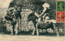 17 - Île D'Oléron: L'âne En Culotte - Départ Pour Les Champs - Ile D'Oléron