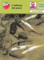 15 INQUINAMENTO: L'ASFISSIA DEI PESCI - Dieren
